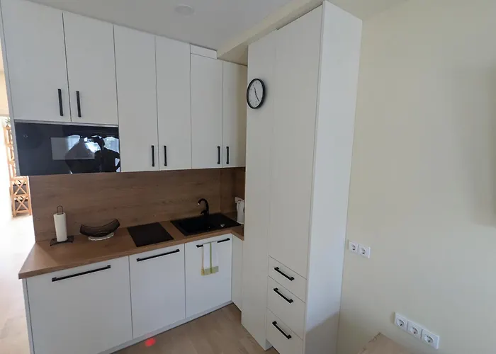 Luxury With Pool * Palanga